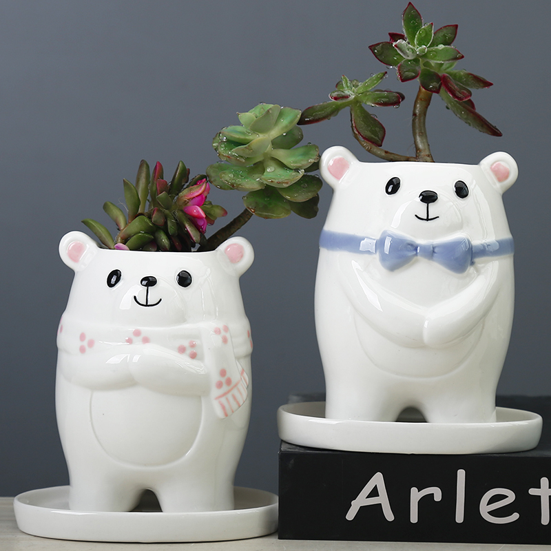 Cute Cartoon Couple Bear Desktop Plant Small Flower Pot