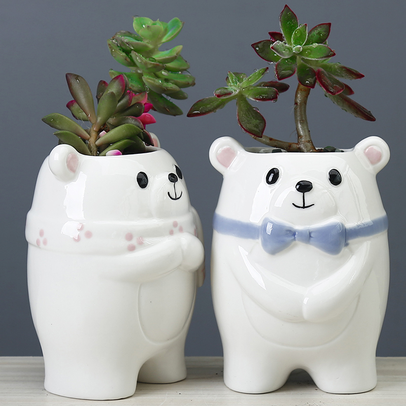 Cute Cartoon Couple Bear Desktop Plant Small Flower Pot