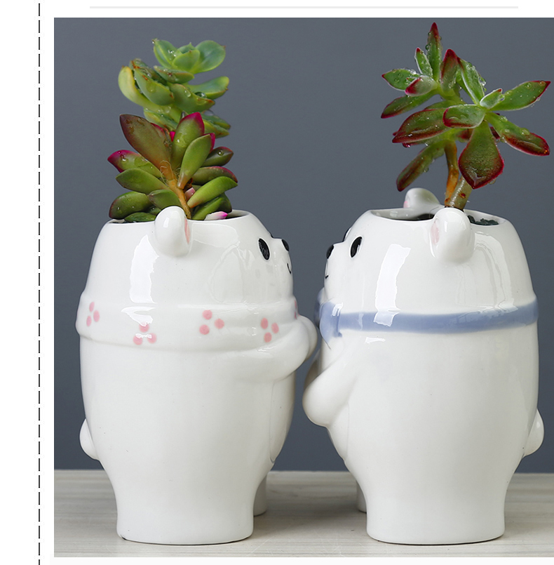Cute Cartoon Couple Bear Desktop Plant Small Flower Pot