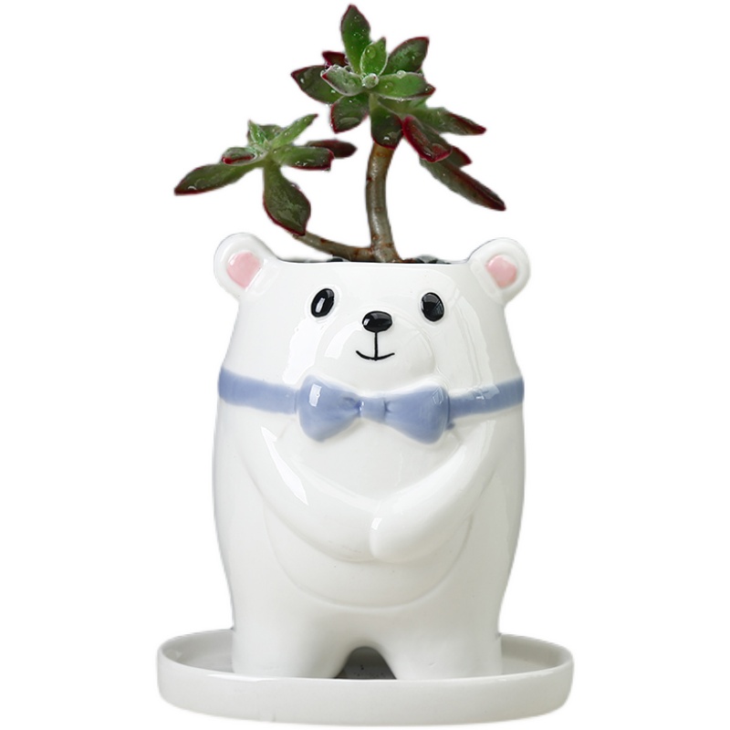 Cute Cartoon Couple Bear Desktop Plant Small Flower Pot